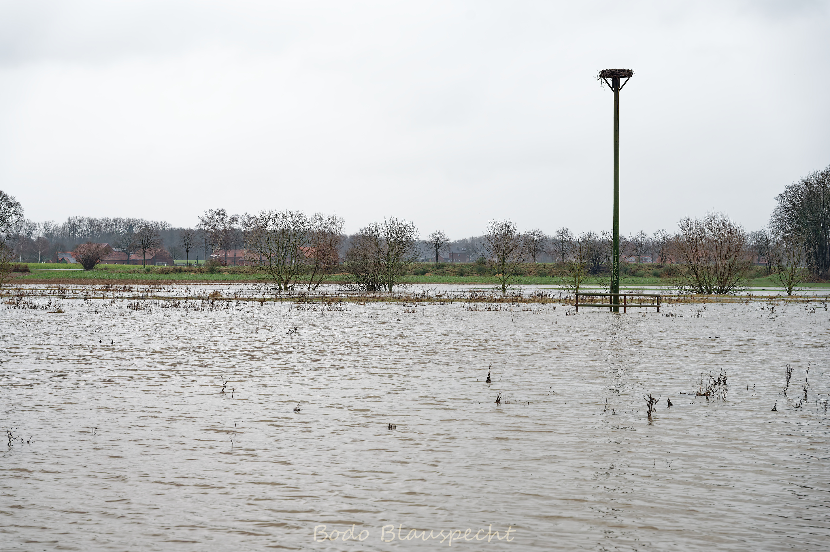 Hochwasser   Steveraue   2023.12.23 16.17 127 WEB